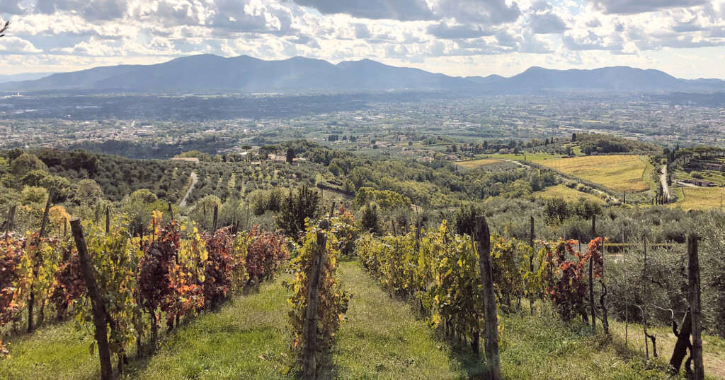 Giro d´Italia en vinresa!