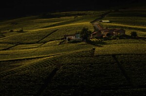 Cru Cerequio - Barolo - Vigne & Palás Cerequio Relais (Enzo Massa) copia