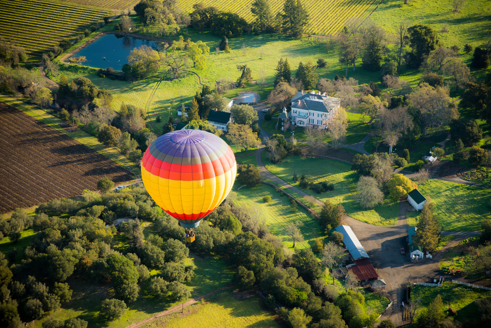 napa valley vingård