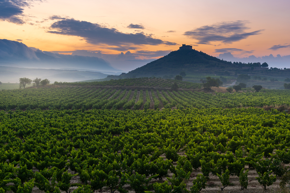 rioja vinregion spanien
