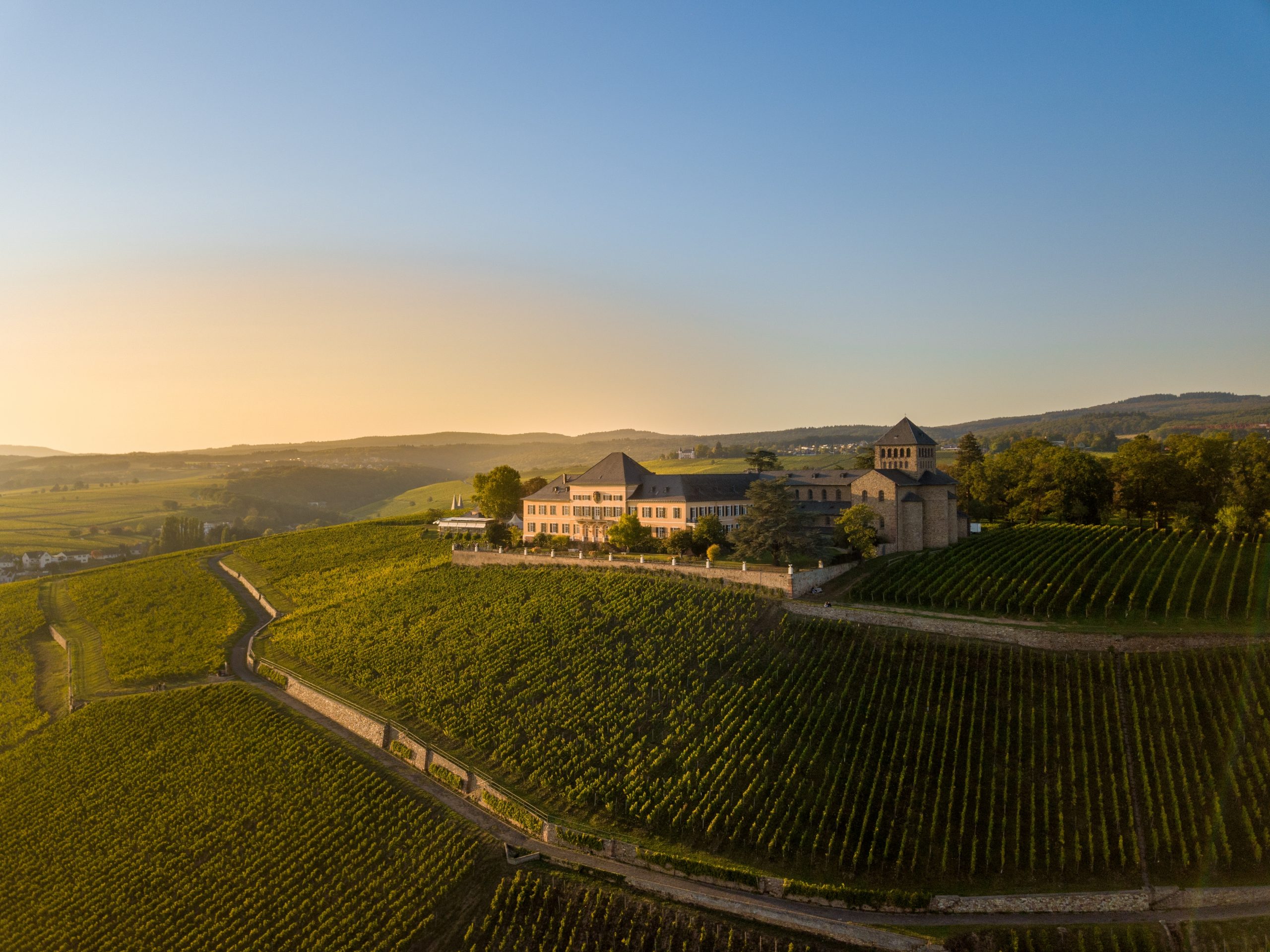 rheingau tyskland riesling