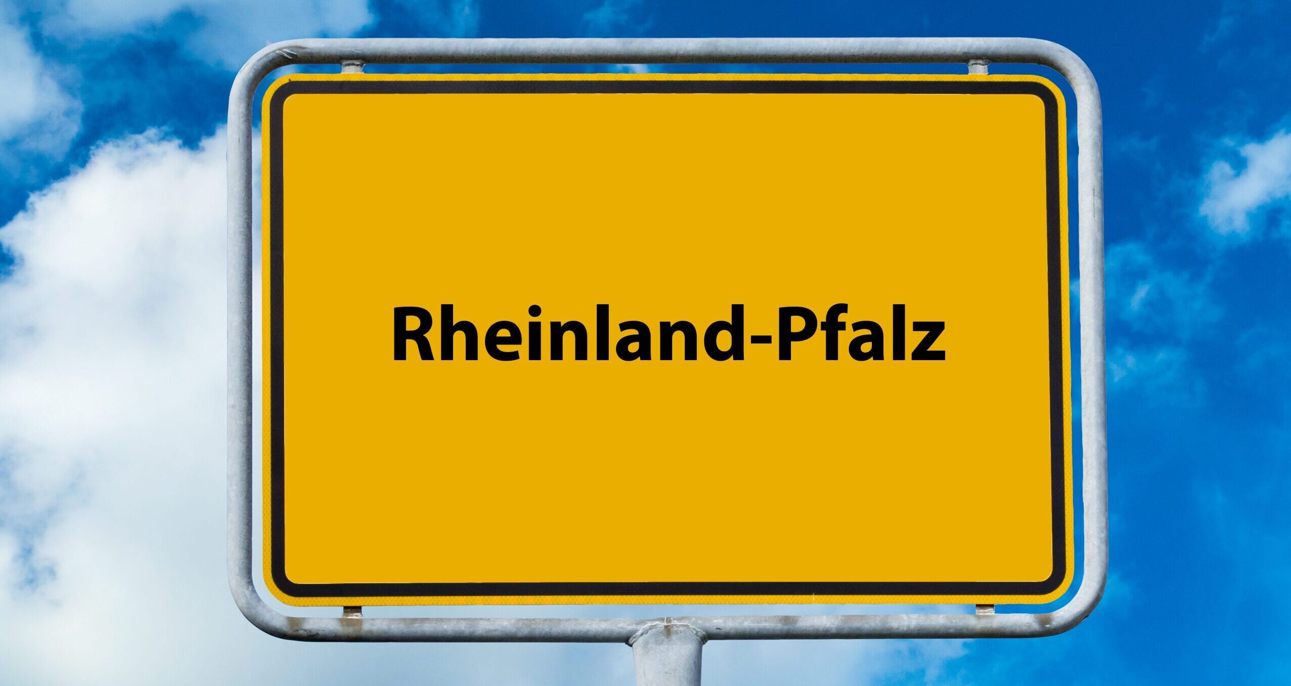 Bild på Riesling, Pfalz och spätburgunder