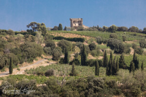 Landscape - CNDP