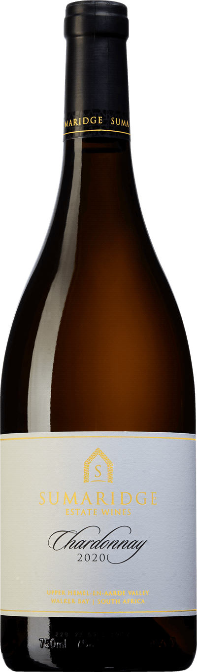 chardonnay sydafrika