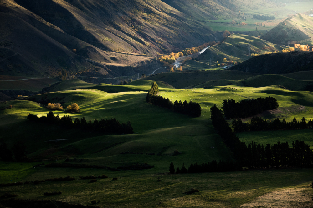 Gibbston valley