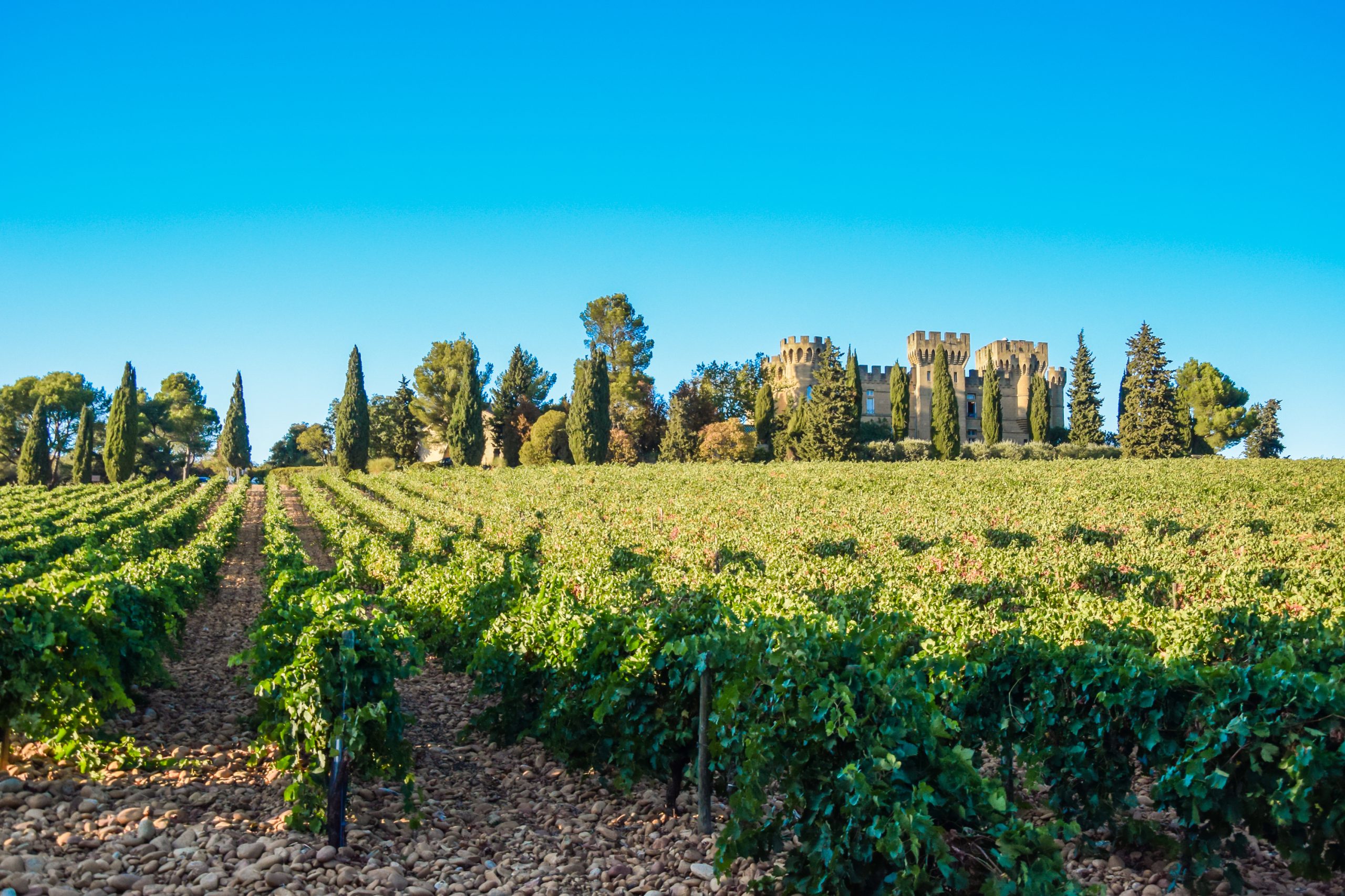 Chateauneuf-du-pape