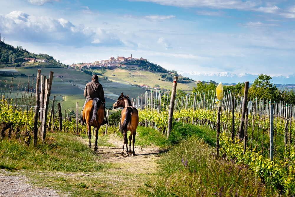 barolo piemonte