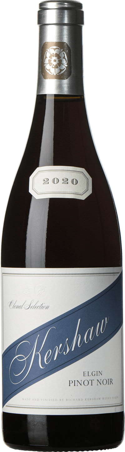 pinot noir
