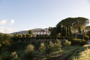 Bild på vingården Terreno i Toscana, Italien