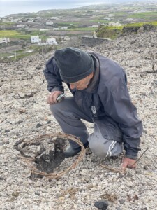 Bild på en vinodlare med den speciella odlingstekniken kouloura på Santorini.