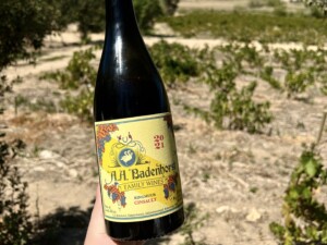 Adi Badenhorst Ringmuur Cinsault på gamla rankor, med vingården Ringmuur i bakgrunden.