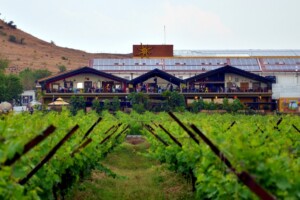 Landskapsbild på Sula Vineyards vingårdar och vineri, tasting room