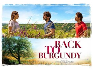 back to burgundy