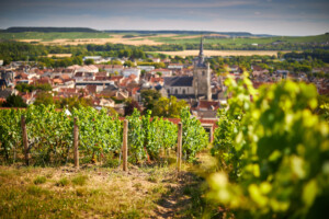 Champagne Deutz i Aÿ