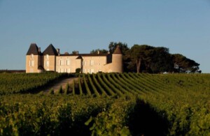 Landskapsbild över vinrankor med slottet Châteay d'Yquem i mitten