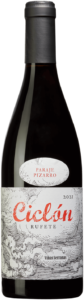 Flaskbild på Ciclón Paraje Pizarro 2021