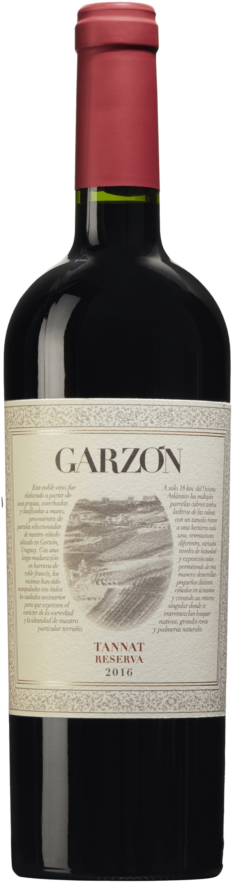 Bild på Garzón Reserva Tannat 2020