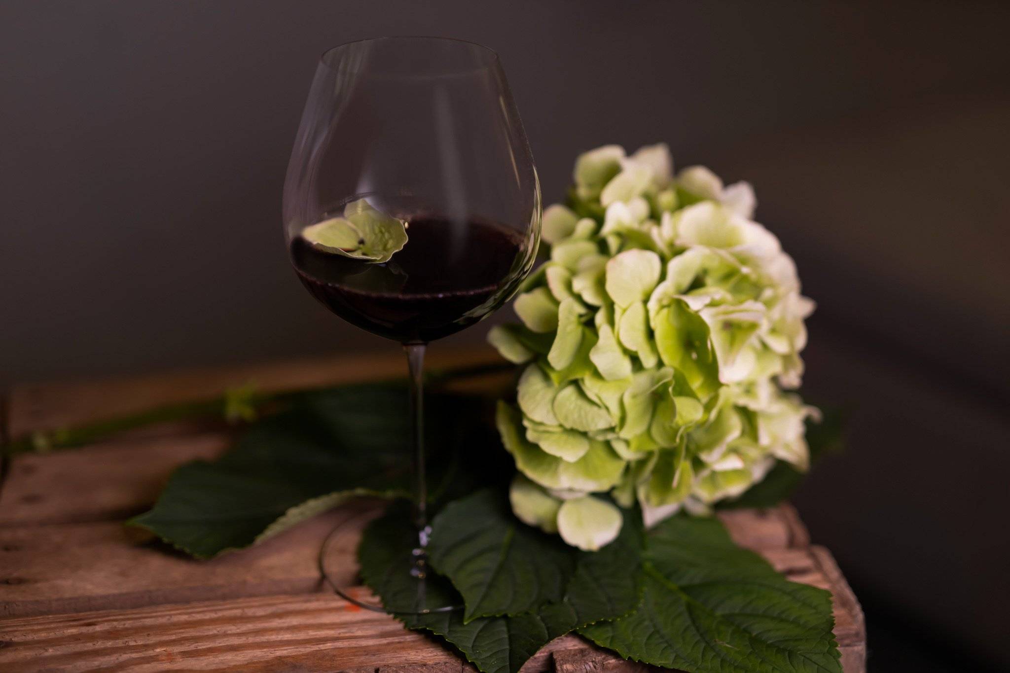 Smaka på Bourgogne – tio bra tips på viner att prova