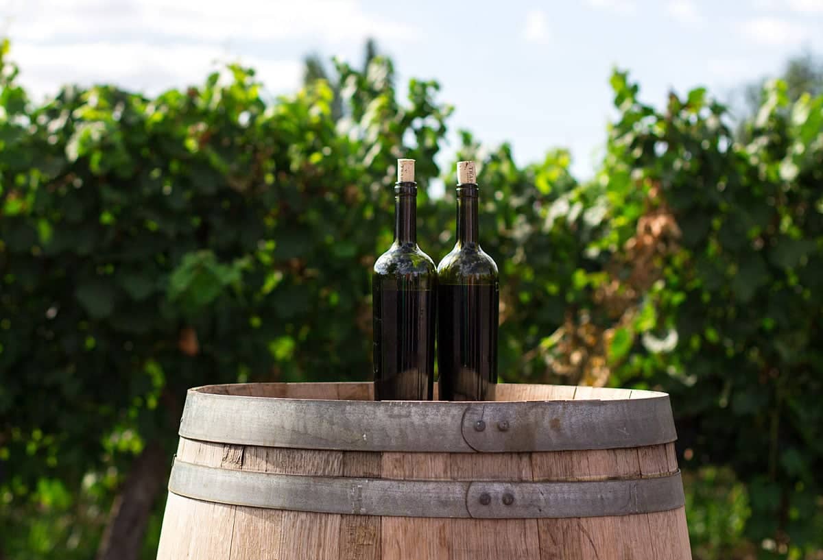 Bild på Smaka på Rioja – 9 toppviner i fast sortiment