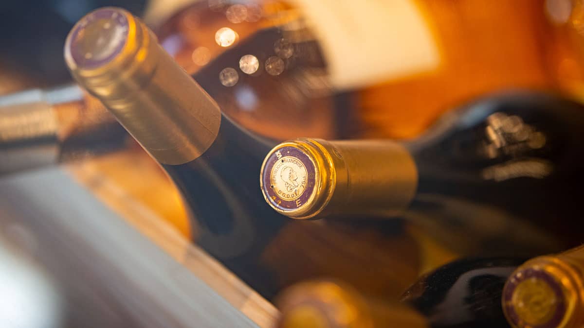 Bild på Grube guidar – nio bästa vinfynden att beställa