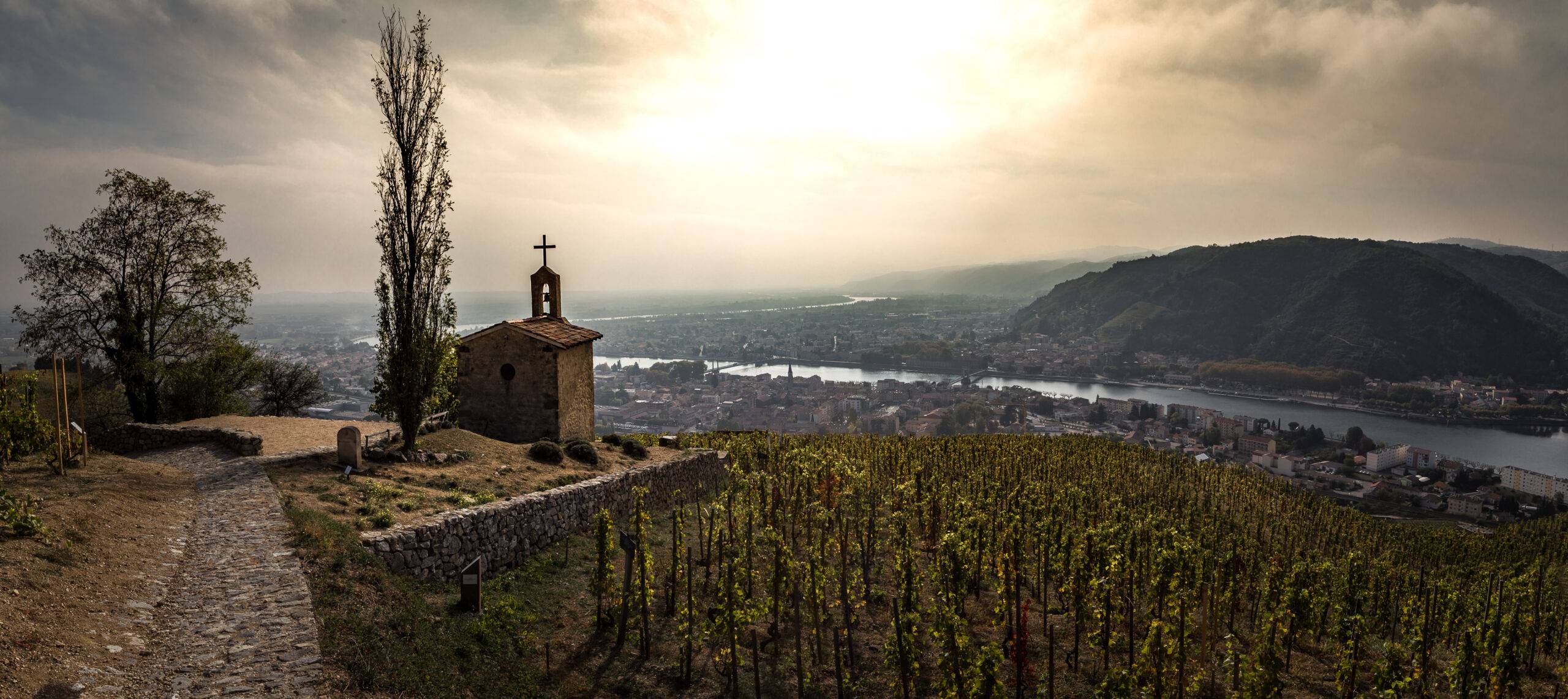 Bild på Norra Rhône – en fullfjädrad ensemble med syrah i huvudrollen