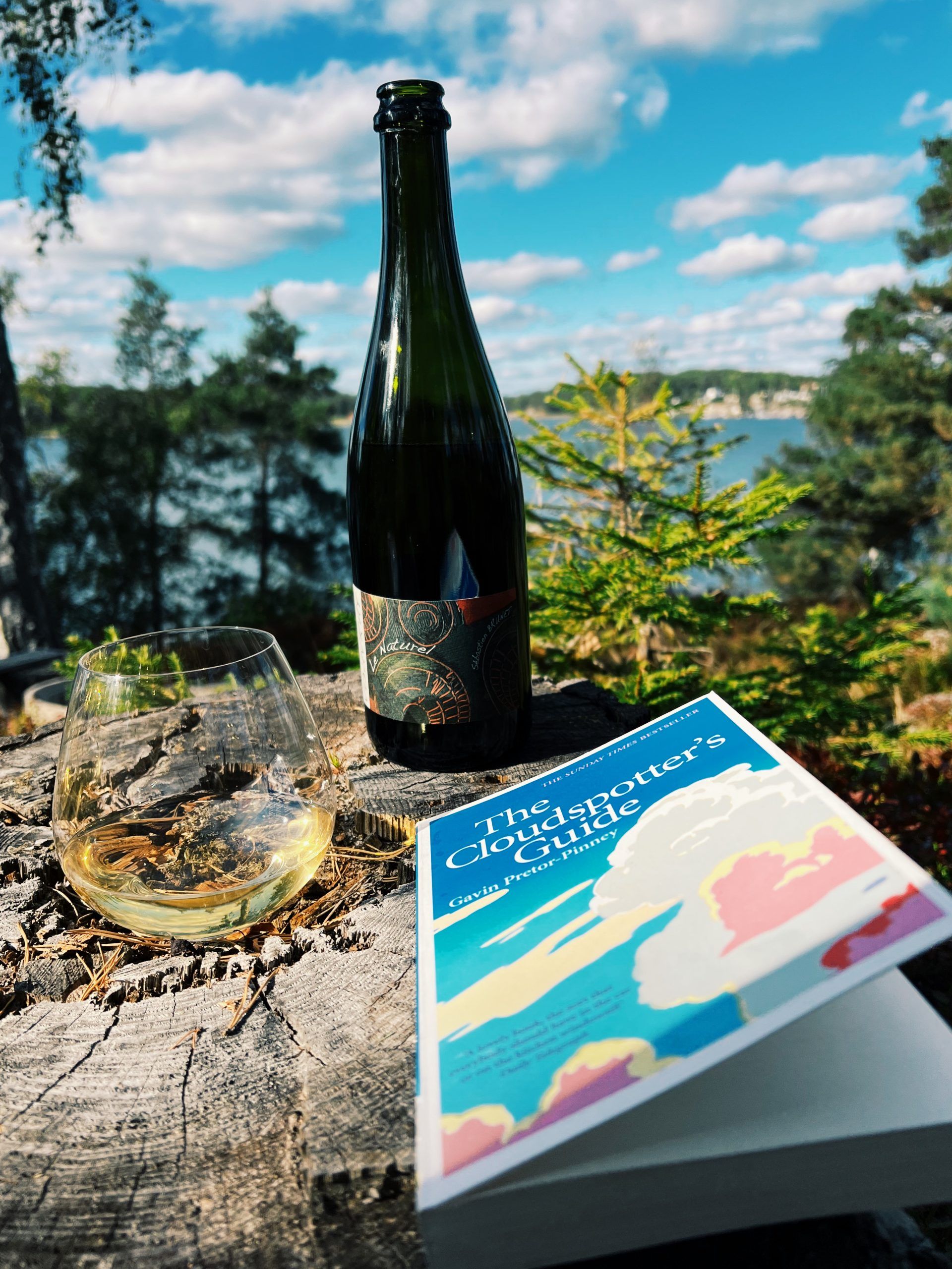 Bild på Vin i Naturen – bland molnen
