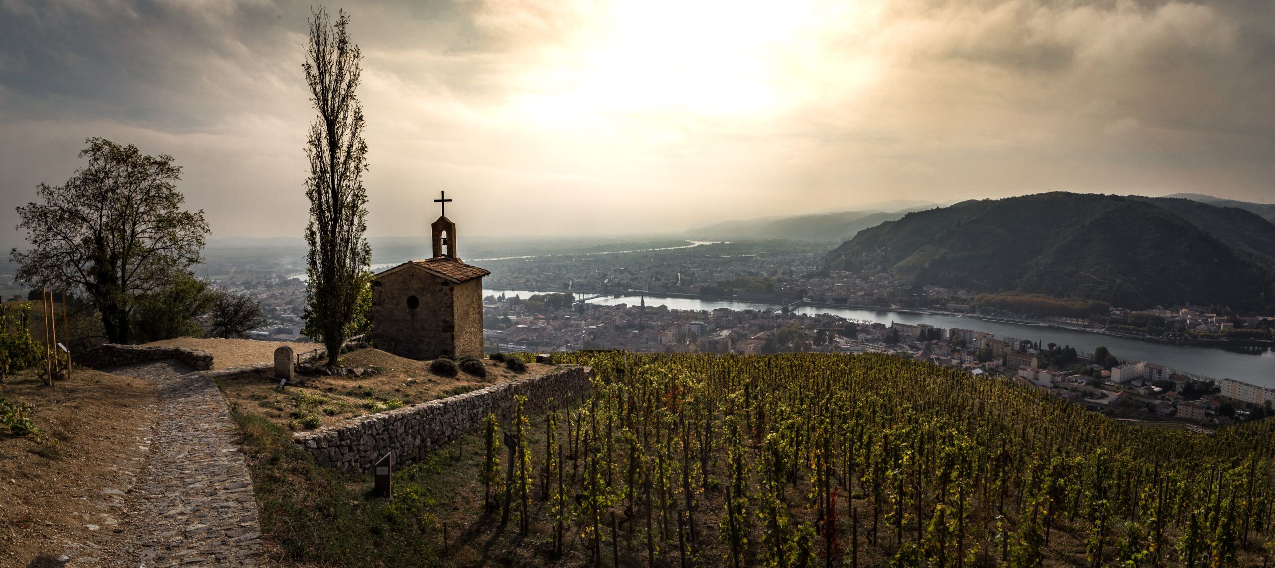 Bild på Norra Rhône – en fullfjädrad ensemble med syrah i huvudrollen