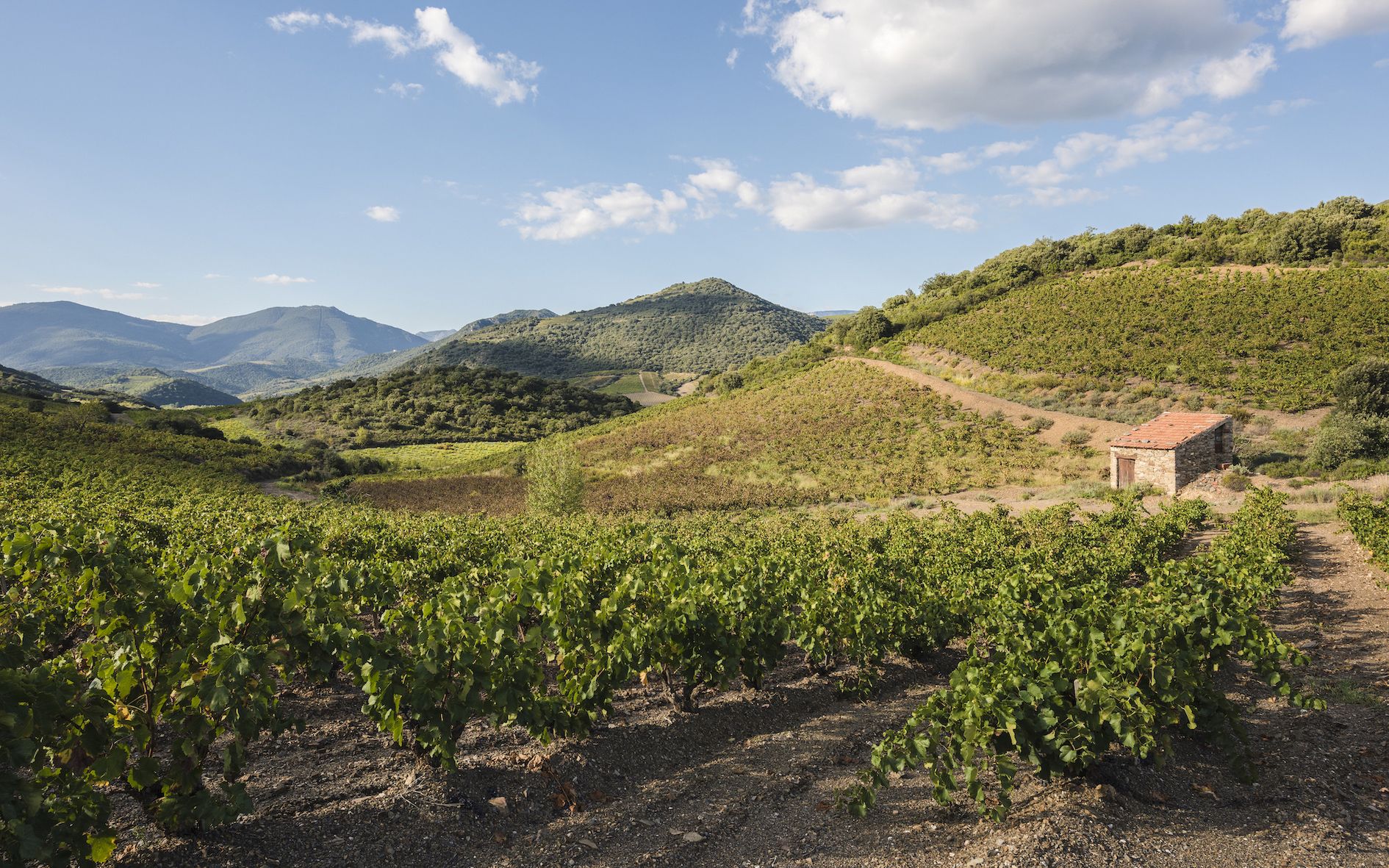 Bild på Languedoc – It's a long way to the top if you wanna rock 'n' roll!