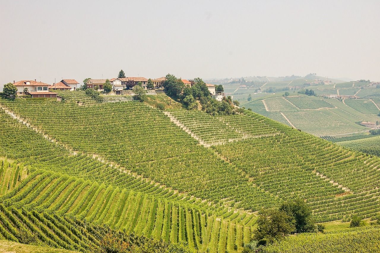 Bild på Fem frågor och svar om Piemonte