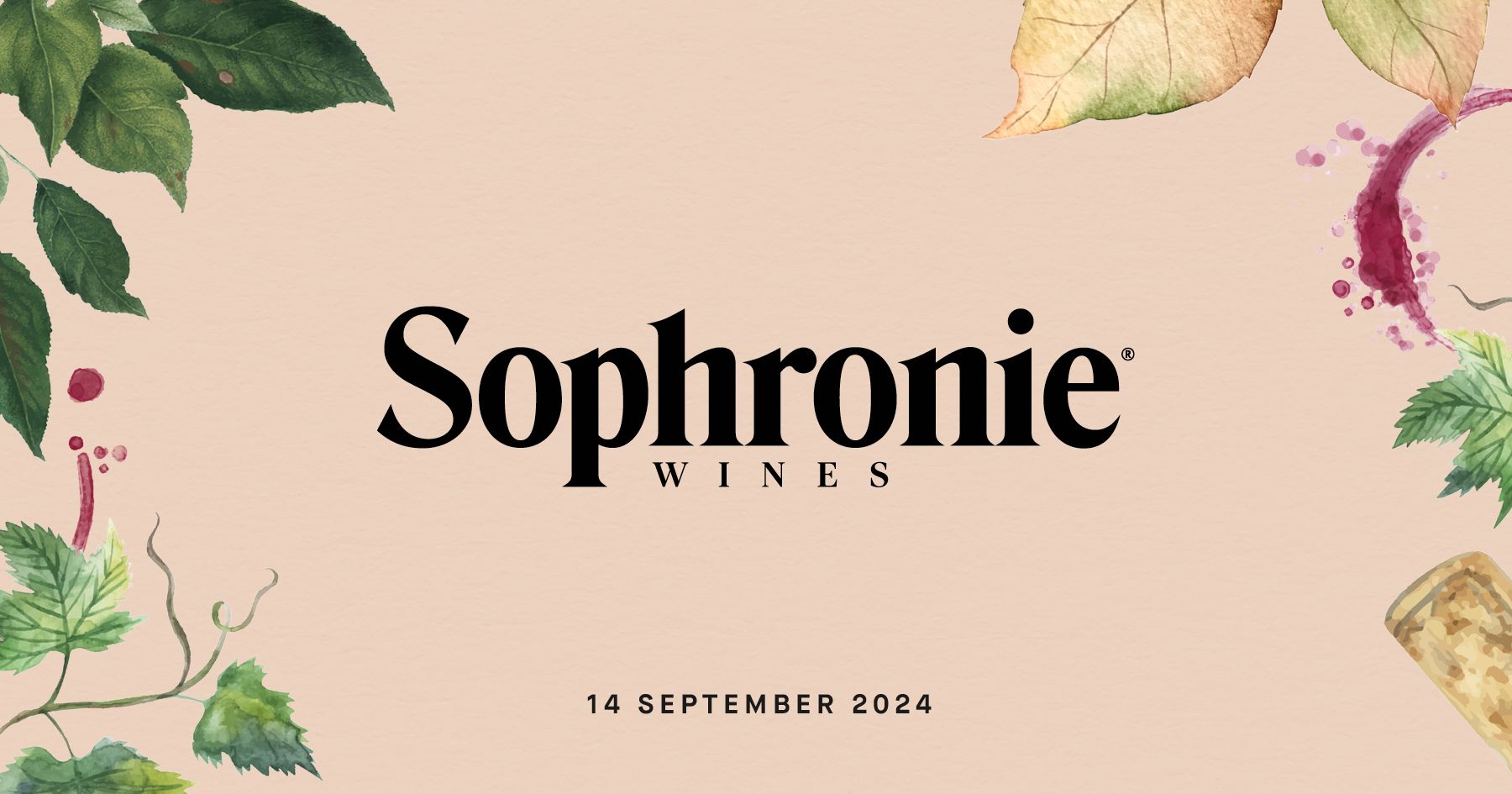 Bild på Sophronie Wines – Höstsalongen Göteborg 2024