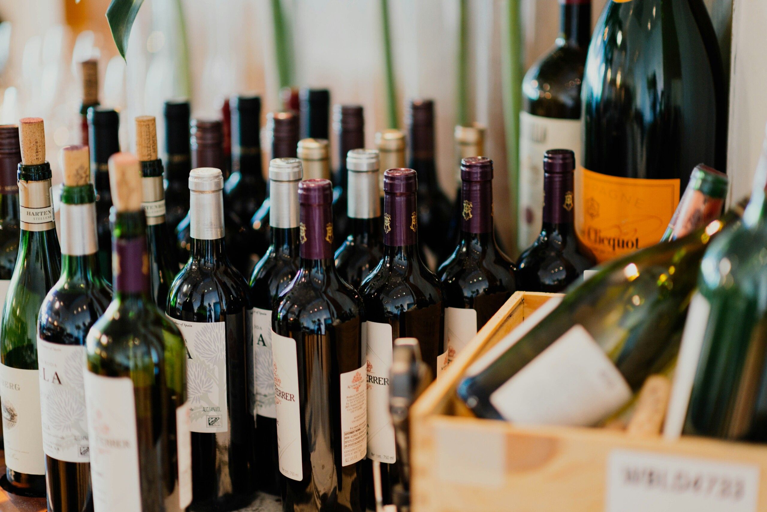 Distanshandel för vin – frihet, kvalitet och ett växande alternativ till monopolet