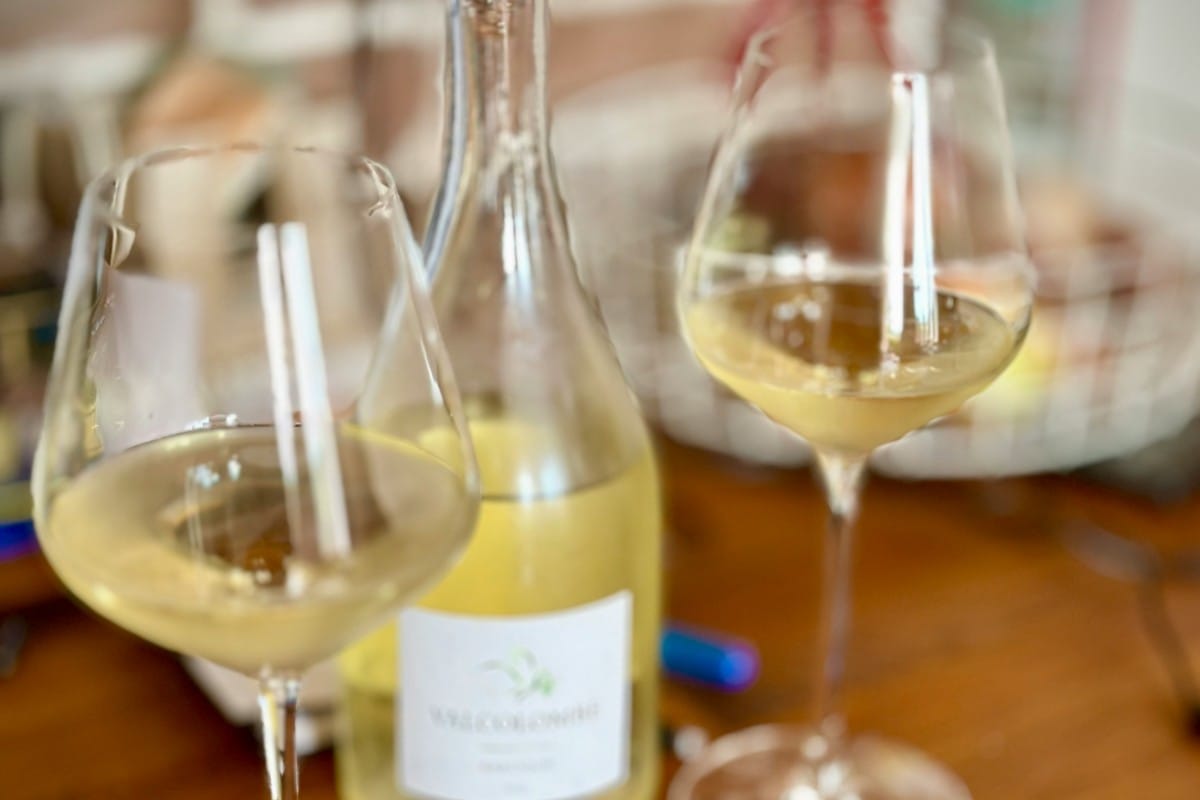 Riesling i nya världen – en mångfacetterad pärla