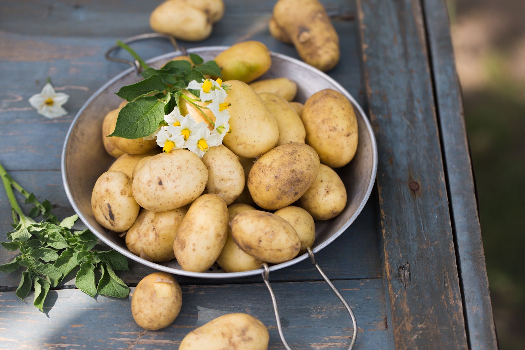 En midsommardröm genom en ljuvlig kallrökt lax och färskpotatis