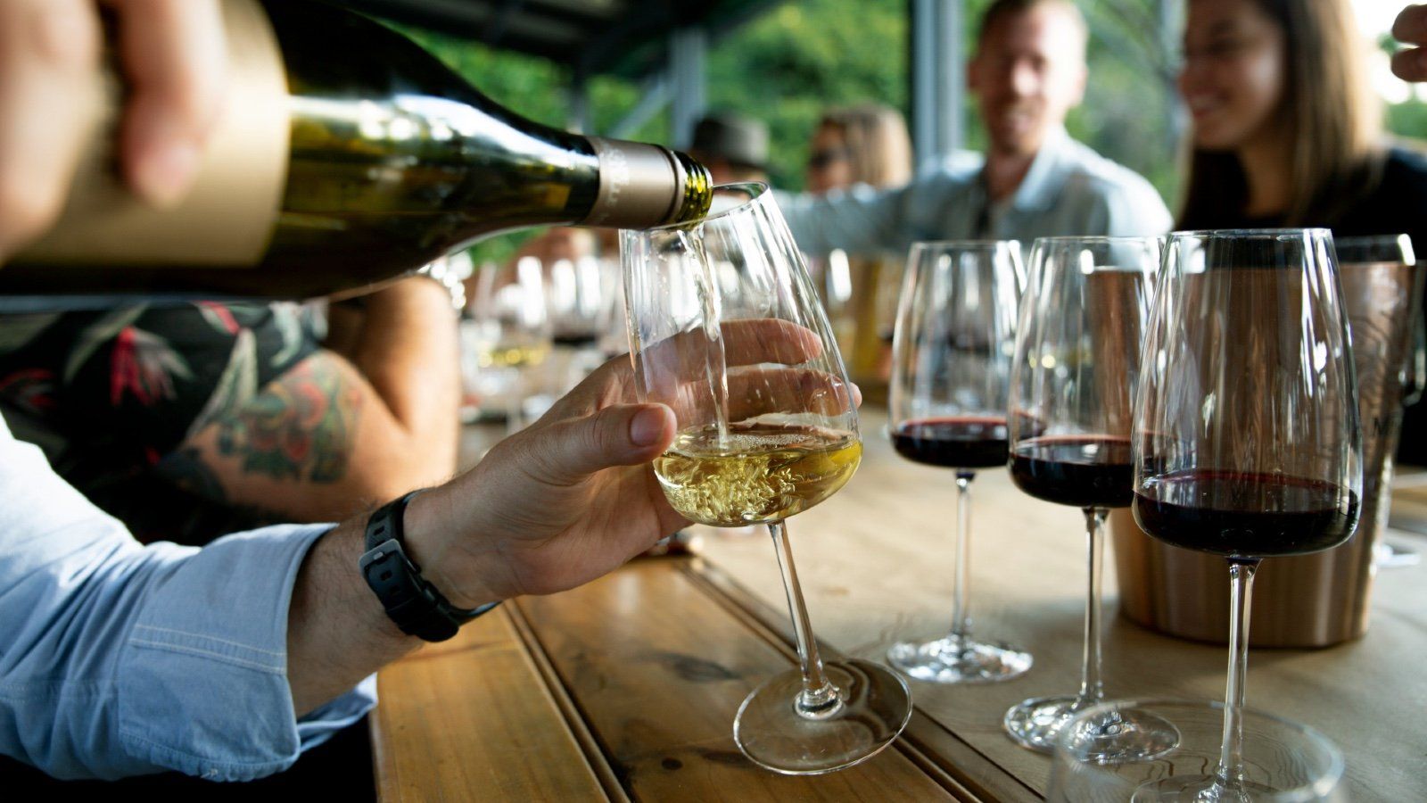 Vintips – höstens bästa nyheter
