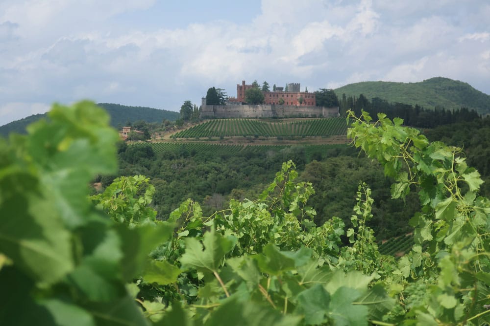 Bild på Bland tinnar och torn i Chianti