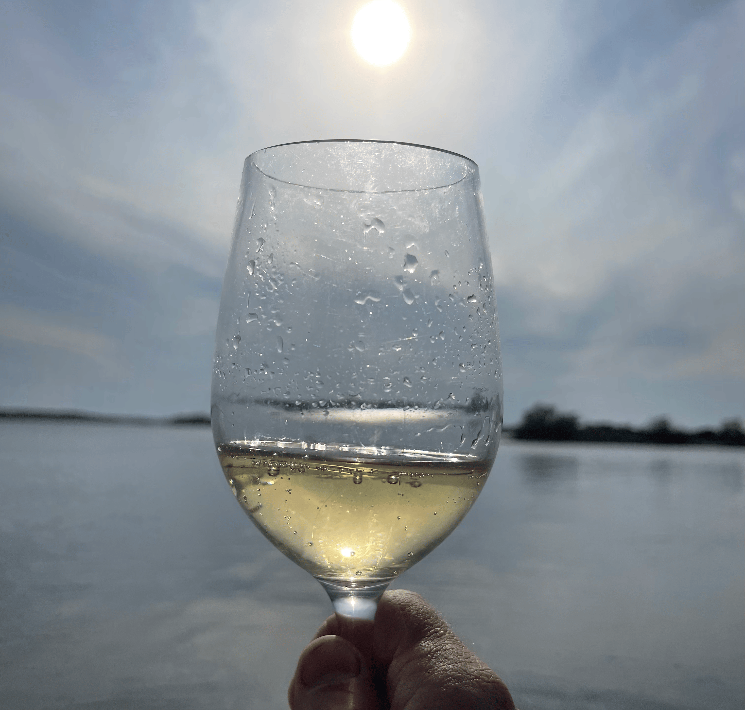 Bild på Grab a Bottle – vem kan segla förutan vin?