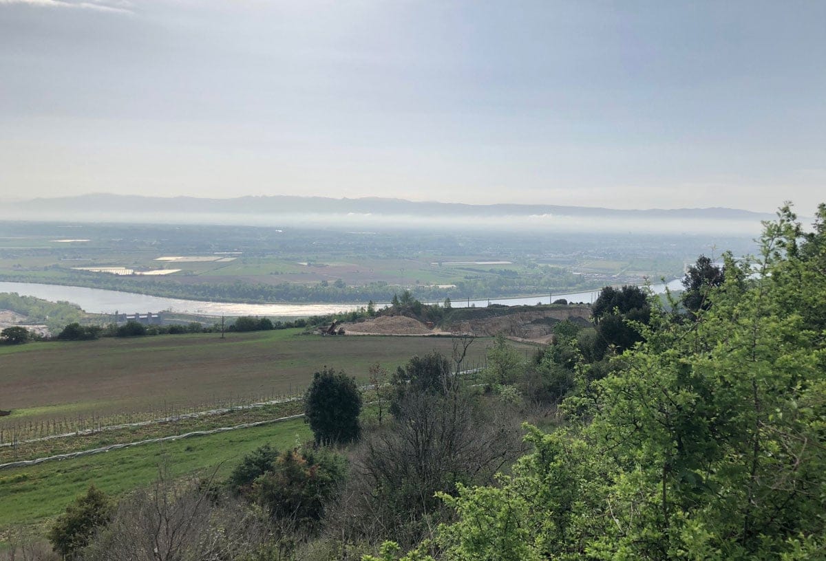 Bild på Côtes du Rhône – druvorna, vinerna och den vindlande historien