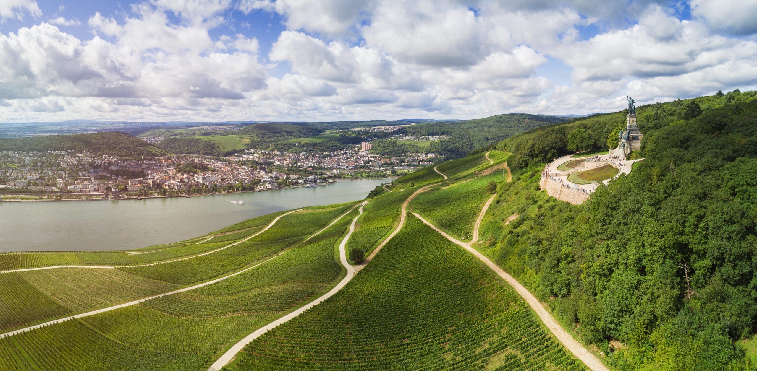 Bild på Klassiska vinregionen Rheingau i förändring