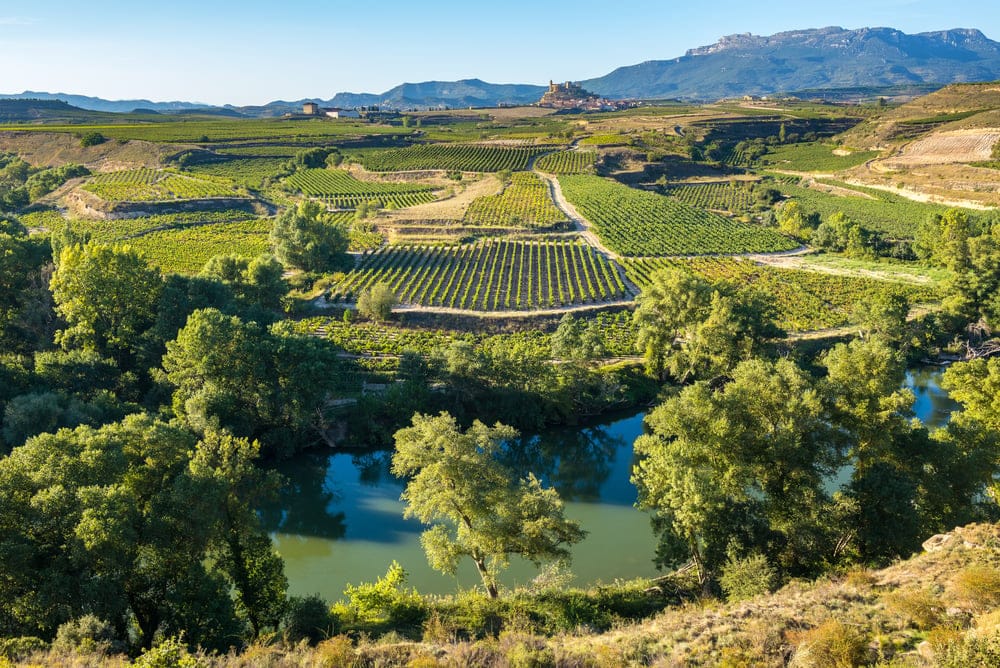 Bild på Rioja – kärleken till Spaniens mest kända vinregion