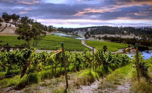 Bild på Coola viner från Tasmanien på frammarsch – Richard Sigray har dykt ner i regionens förutsättningar och provat några av vinerna