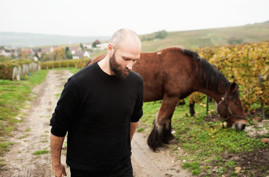 Bild på Naturvin i Champagne