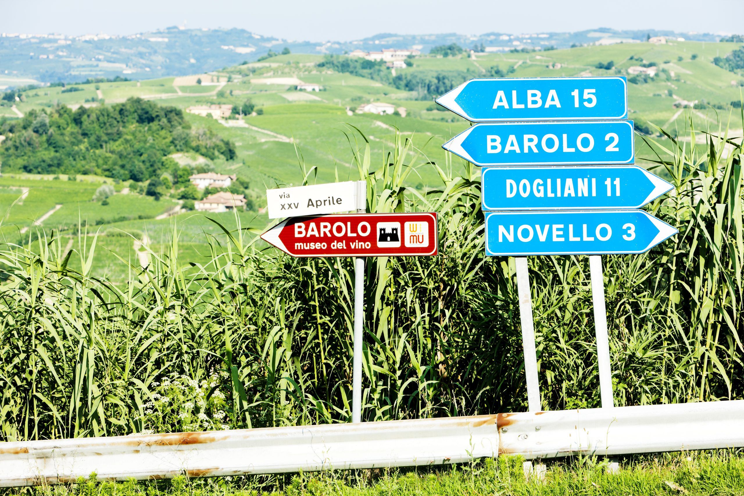 Bild på Smaka på Piemonte – nio heta vintips
