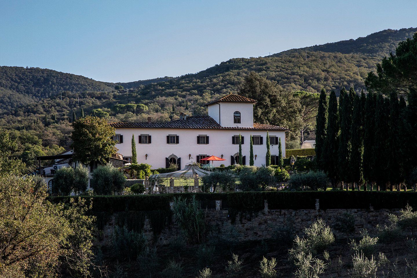Bild på Svensk vingård i Toscana