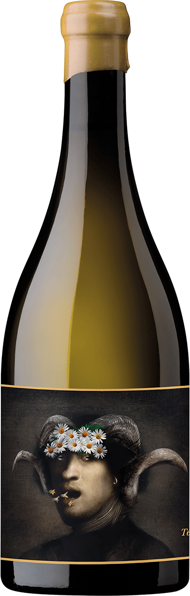En glasflaska med Oxer Wines Marko Terlegiz 2022, ett vitt vin från Baskien i Spanien