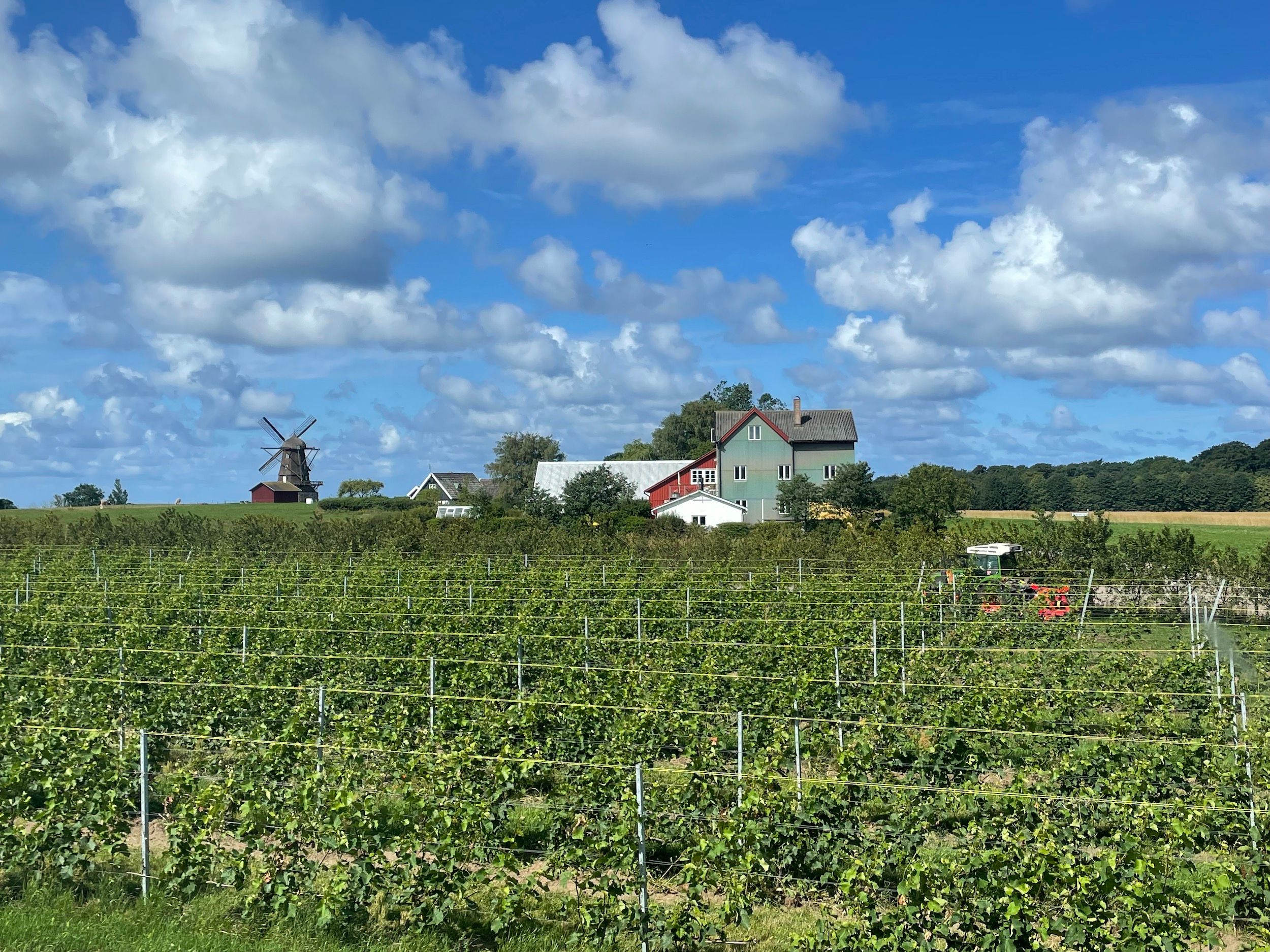 Bild på Kungligt vin från Kullaberg