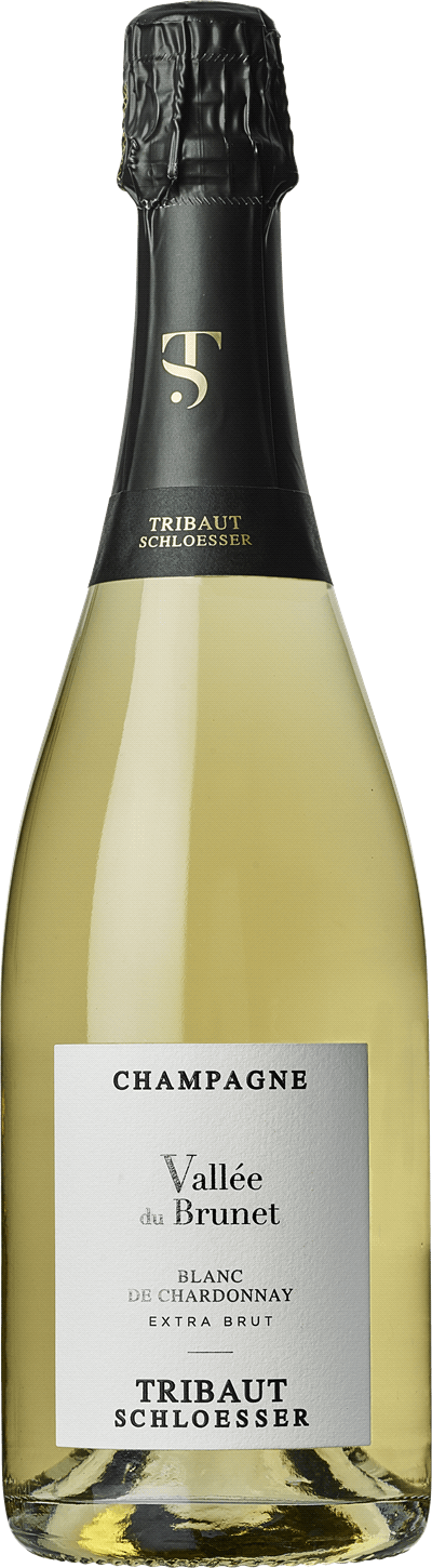 En lättare glasflaska med Tribaut Blanc de Chardonnay Brut, ett champagne från Champagne i Frankrike