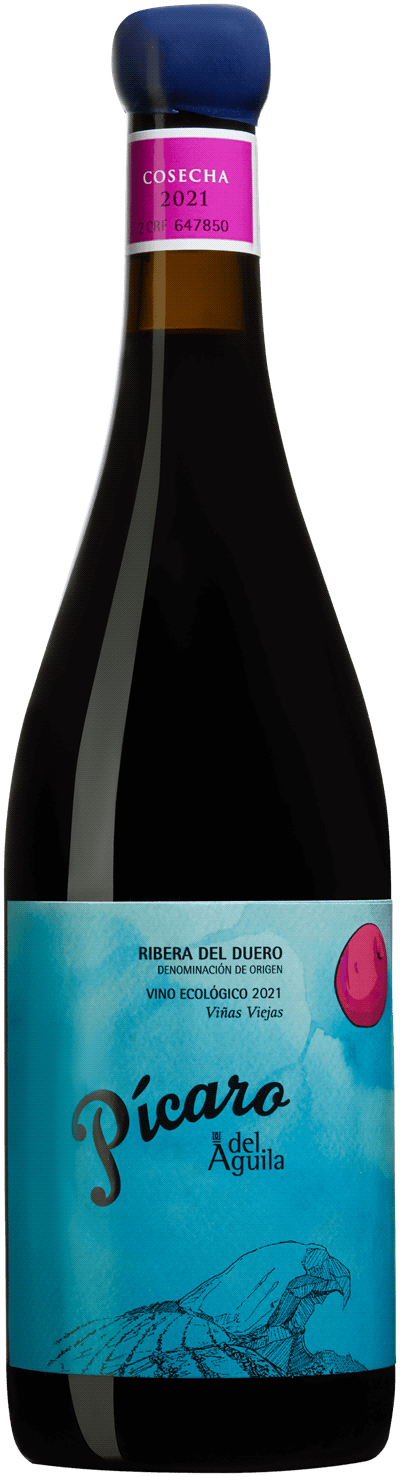 En glasflaska med Dominio del Aguila Picaro 2021, ett rött vin från Kastilien-León i Spanien