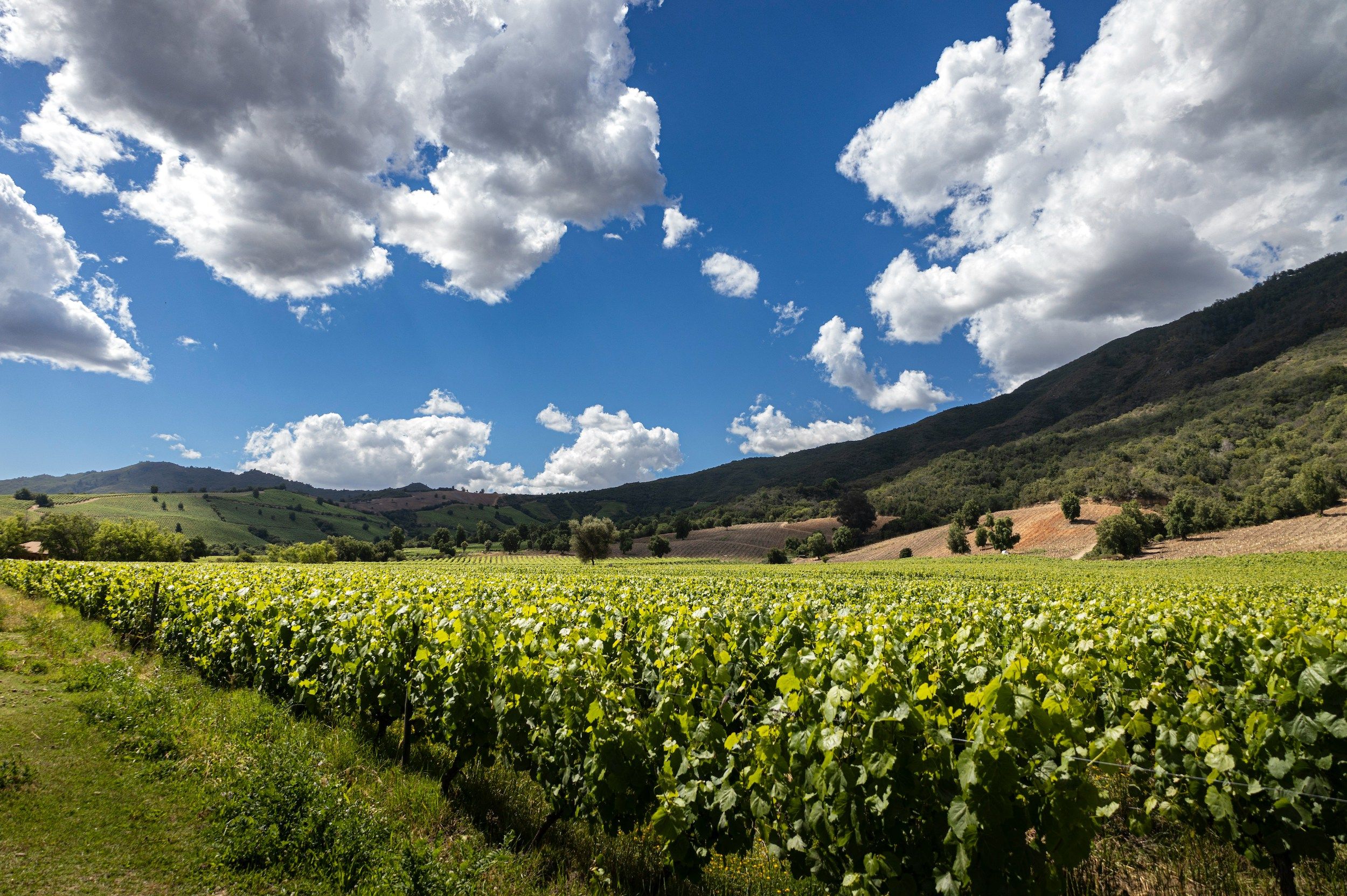 Chile - mellan berg, dalar och hav