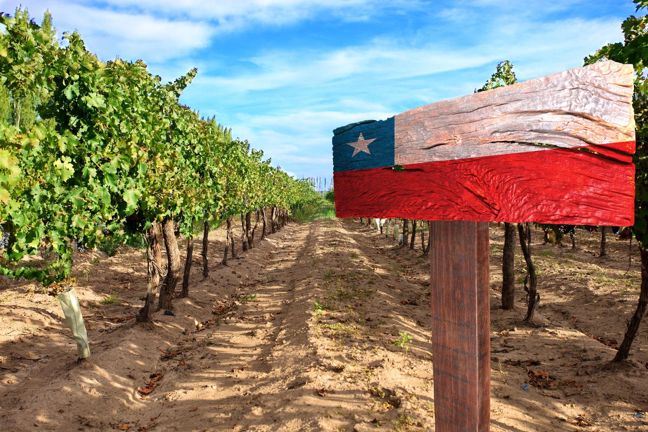 Bild på Chile – ett traditionellt vinland i utveckling