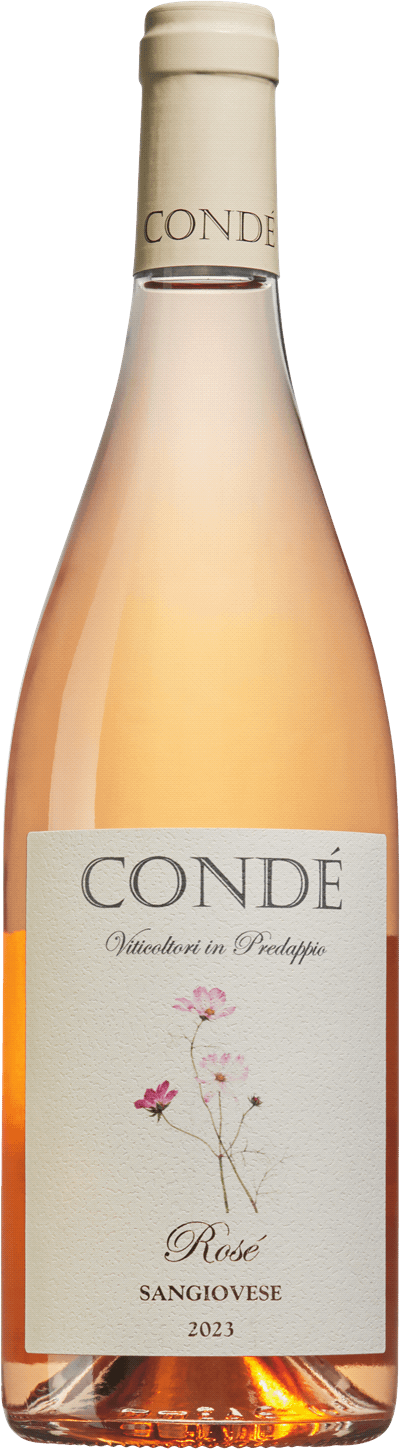 En glasflaska med Condé Rosé 2023, en rosévin från Emilia-Romagna i Italien